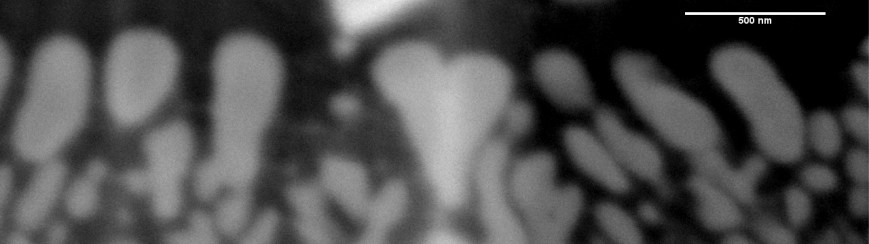 Scanning electron microscope image of silicate crystals in metallic melt.